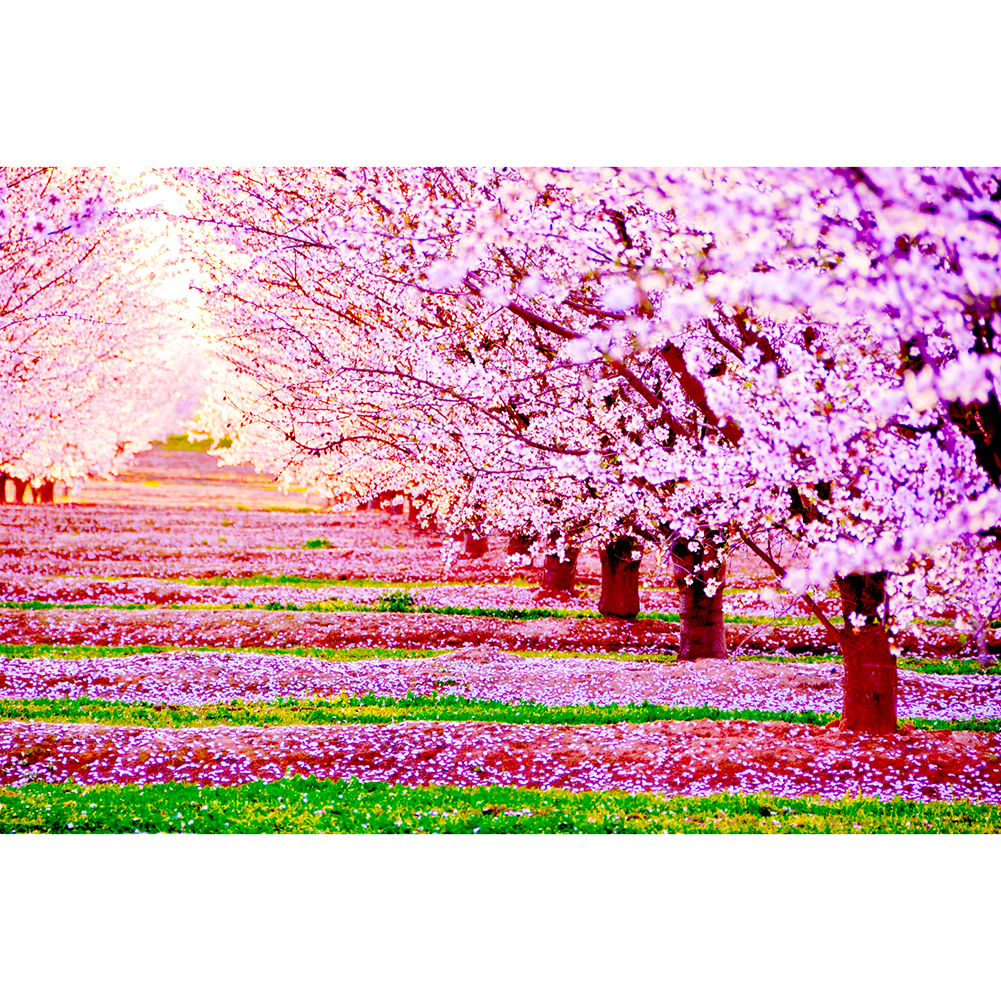 

Garden Flowers - 1000 Pieces Jigsaw Puzzle, 501 Original