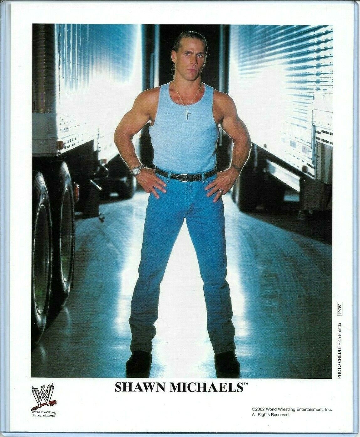 WWE SHAWN MICHAELS P-797 OFFICIAL LICENSED AUTHENTIC ORIGINAL 8X10 PROMO Photo Poster painting