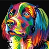Colorful Dog  | Full Round Diamond Painting Kits