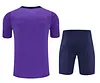 2025/2026 Corinthians Pre-Match Training Purple Shirt+Shorts 1:1 Thai Quality