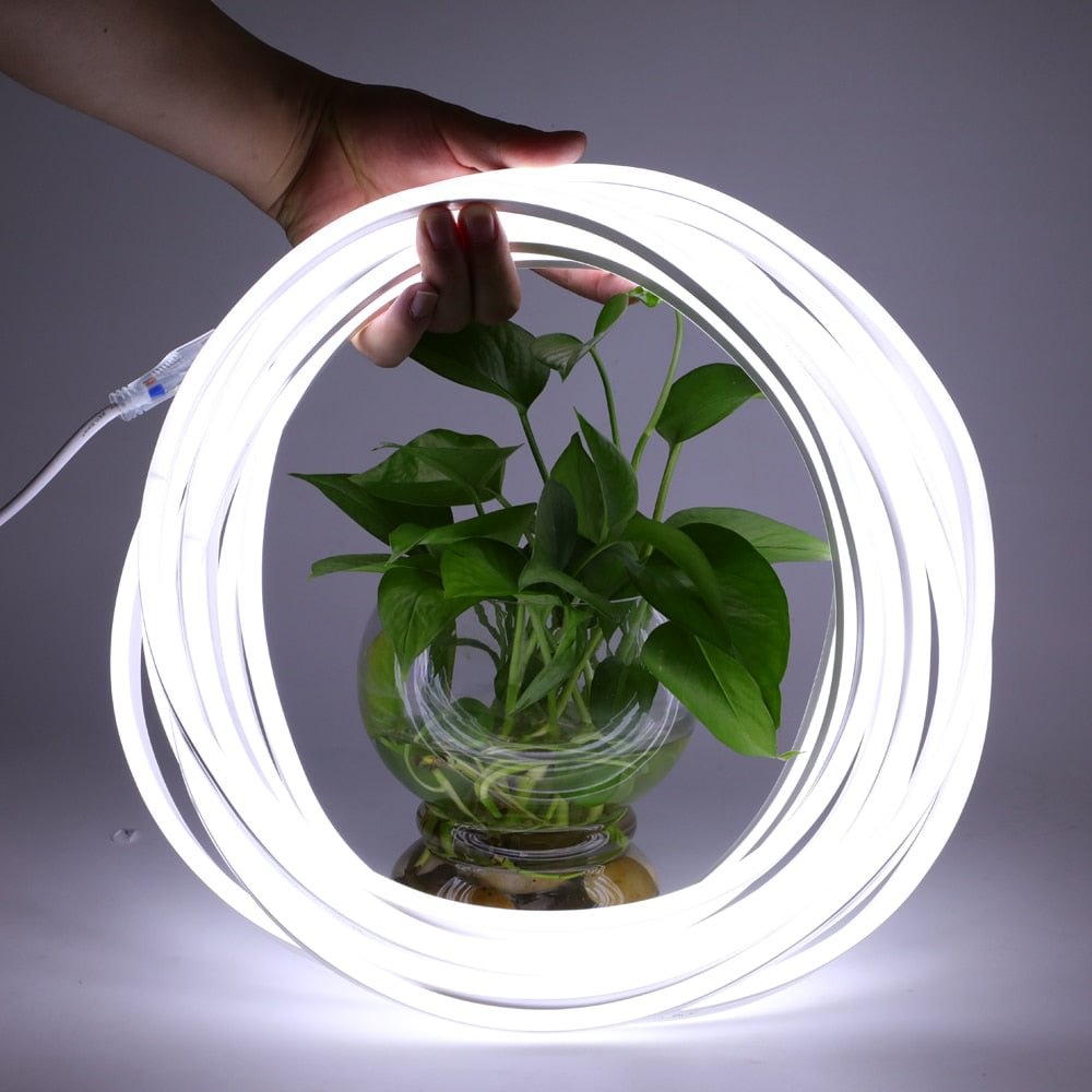 Neon Flex Led Strip Light AC220V SMD2835 Waterproof Flexible Lighting Power Plug Outdoor Festival Decoration Strips Neon Lights-1