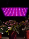 45W 225 LED Grow Lamp Red Blue LED Indoor Grow Lights Full Spectrum Plant Lamp