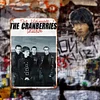 The Cranberries - Vintage Metal Signs(8*12Inch)  - Music