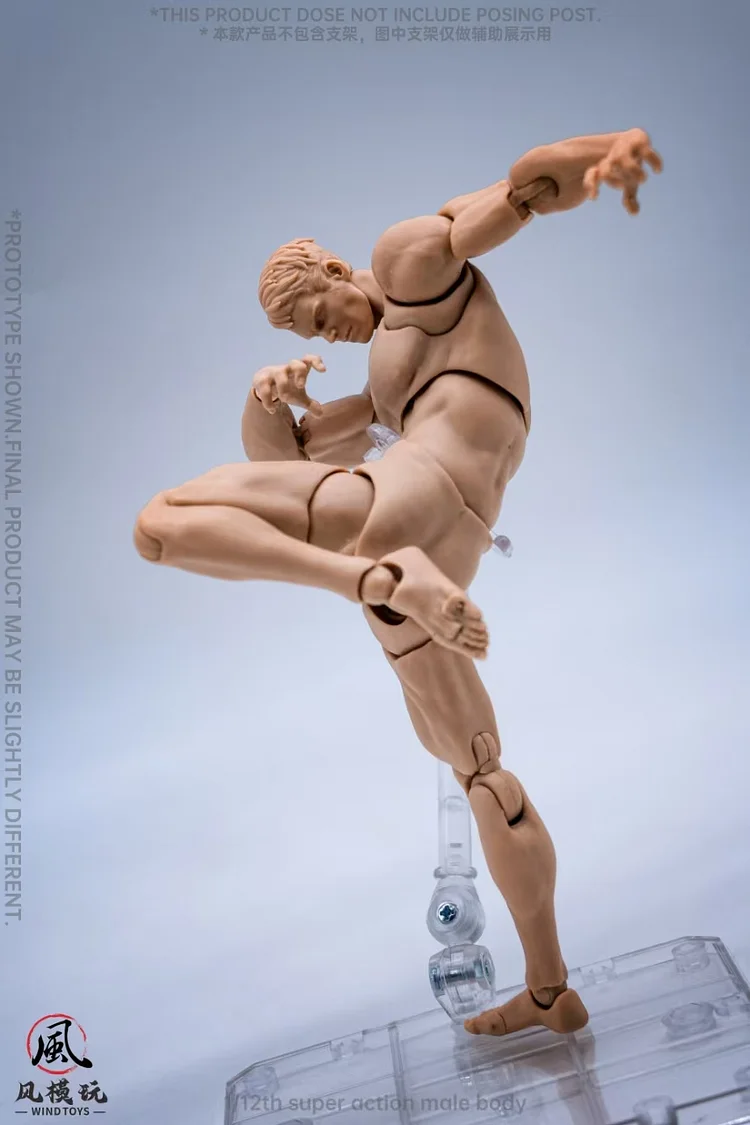 Wind Toys Studio - Original Super Action Male Body 1/12 Action Figure-