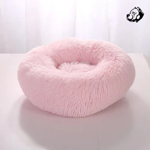 Calming Bed