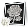 DIY Pearl Painting Rose for Home Wall Decor(25x25cm)