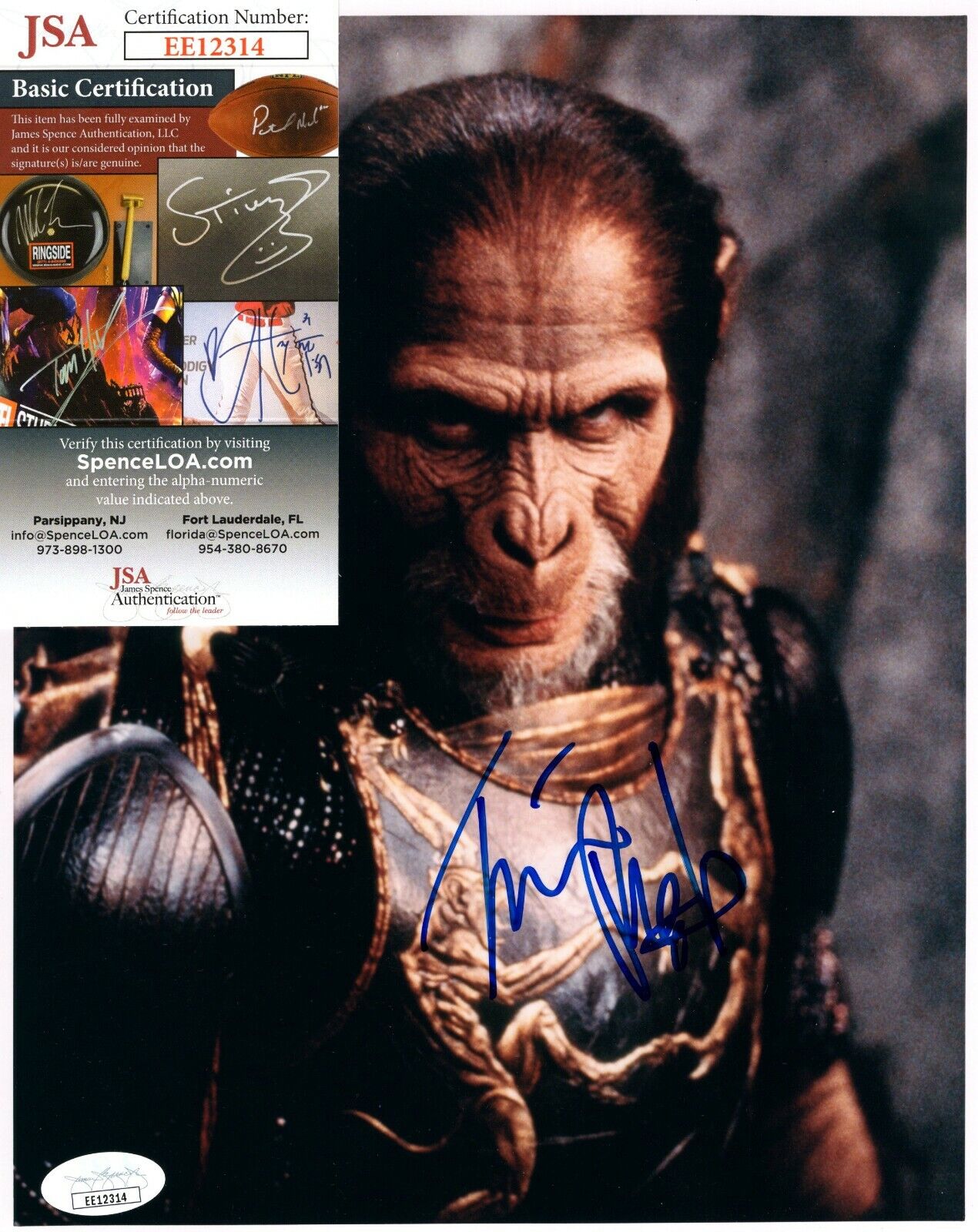 Tim Roth Actor Planet of The Apes Movie Hand Signed Autograph 8x10 Photo Poster painting JSA COA