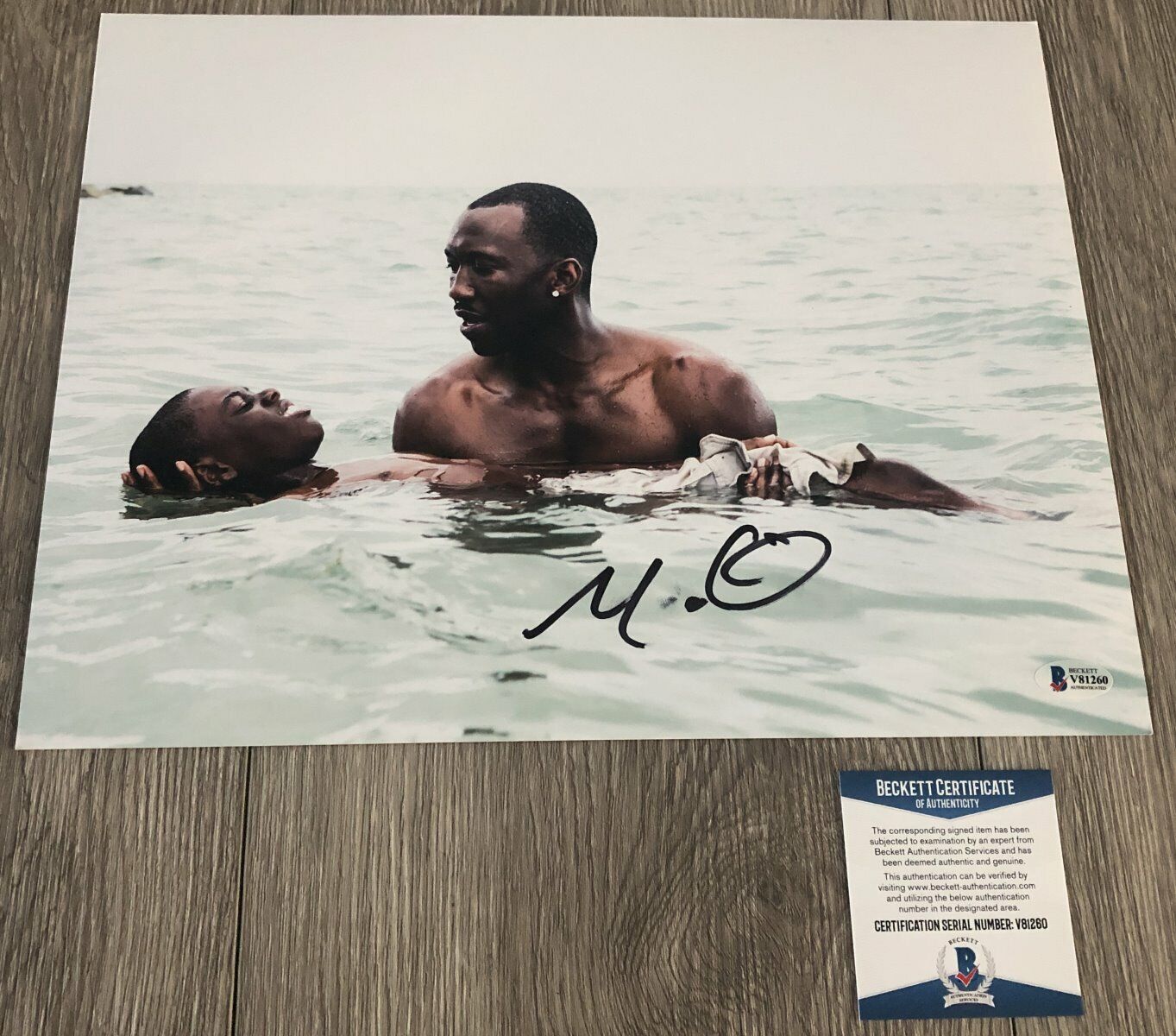 MAHERSHALA ALI SIGNED MOONLIGHT 11x14 Photo Poster painting A w/EXACT PROOF & BECKETT BAS COA