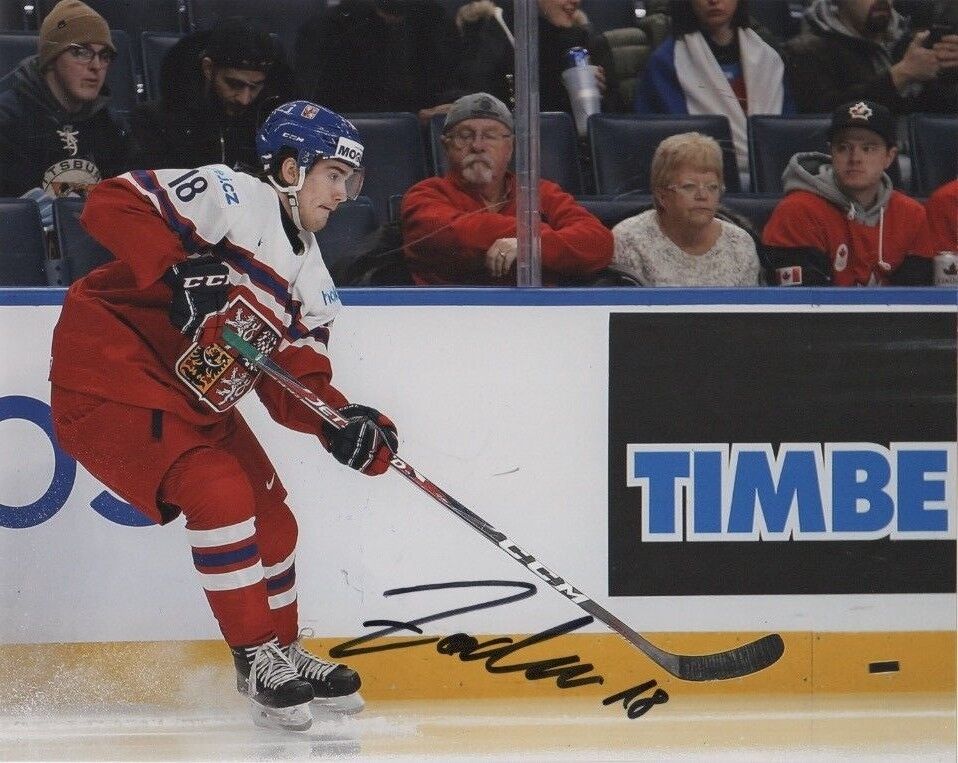 Czech Filip Zadina Autographed Signed 8x10 Photo Poster painting COA