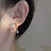 Docenin™Eight Awn Star Crystal Earrings