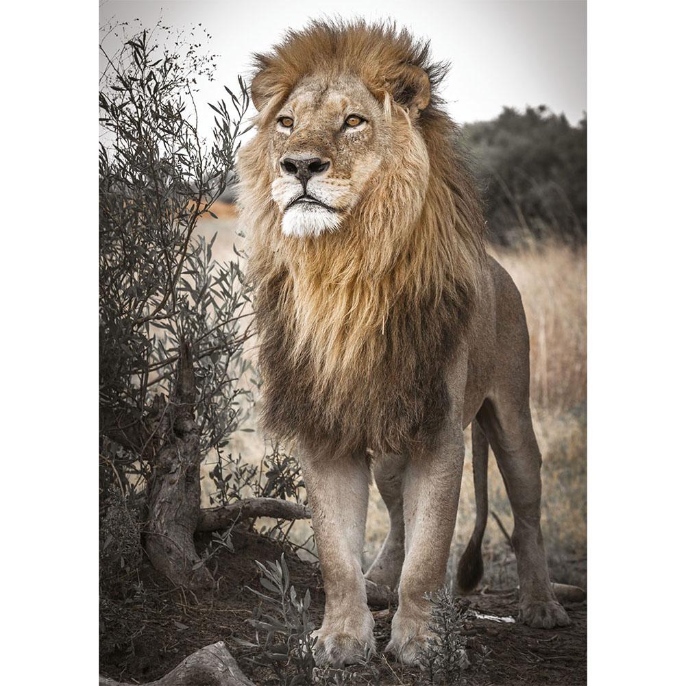 

Lion Desert - Round Drill Diamond Painting - 30*40CM, Round diamond 30*40cm, 501 Original