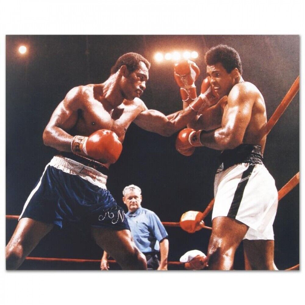 ~LICENCED!~ Muhammad Ali & Boxer Ken Norton 16x20 Photo Poster painting Poster Boxing Legends