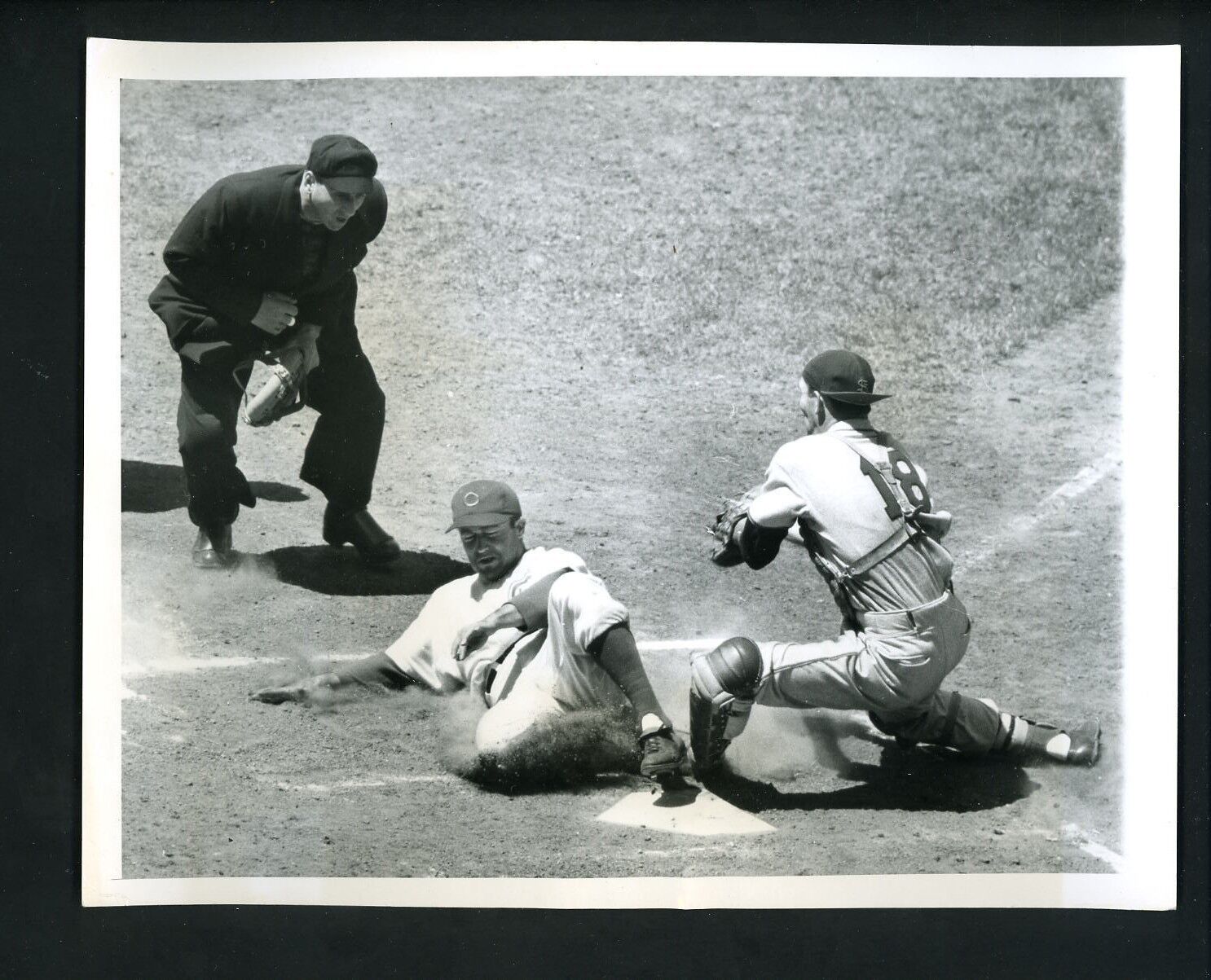 Bob Ramazzotti Del Rice Guglielmo 1952 Type 1 Press Photo Poster painting Chicago Cubs Cardinals