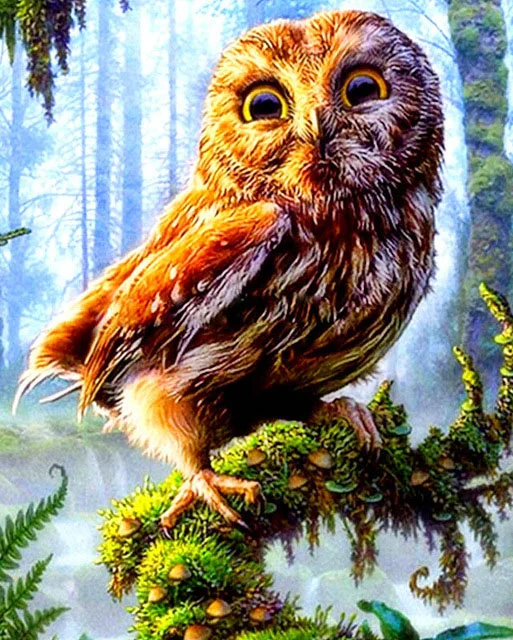 Diamond Painting - Full Round/Square Drill - Owl(30*40 - 50*60cm)