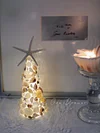 Shell conch Christmas tree night light handmade DIY material package