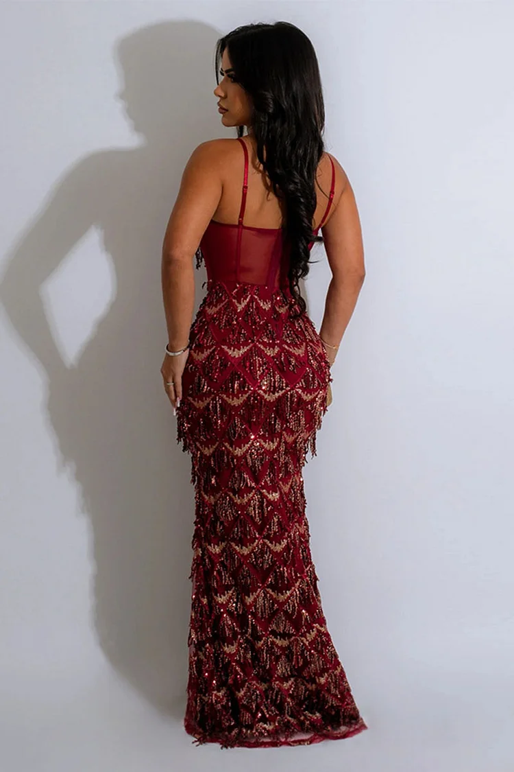 Cami Corset Sequin Fringed Gowns Maxi Dresses-Champagne