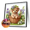 Diamond Painting - Full Round Drill - Dog Flower(Canvas|40*40cm)