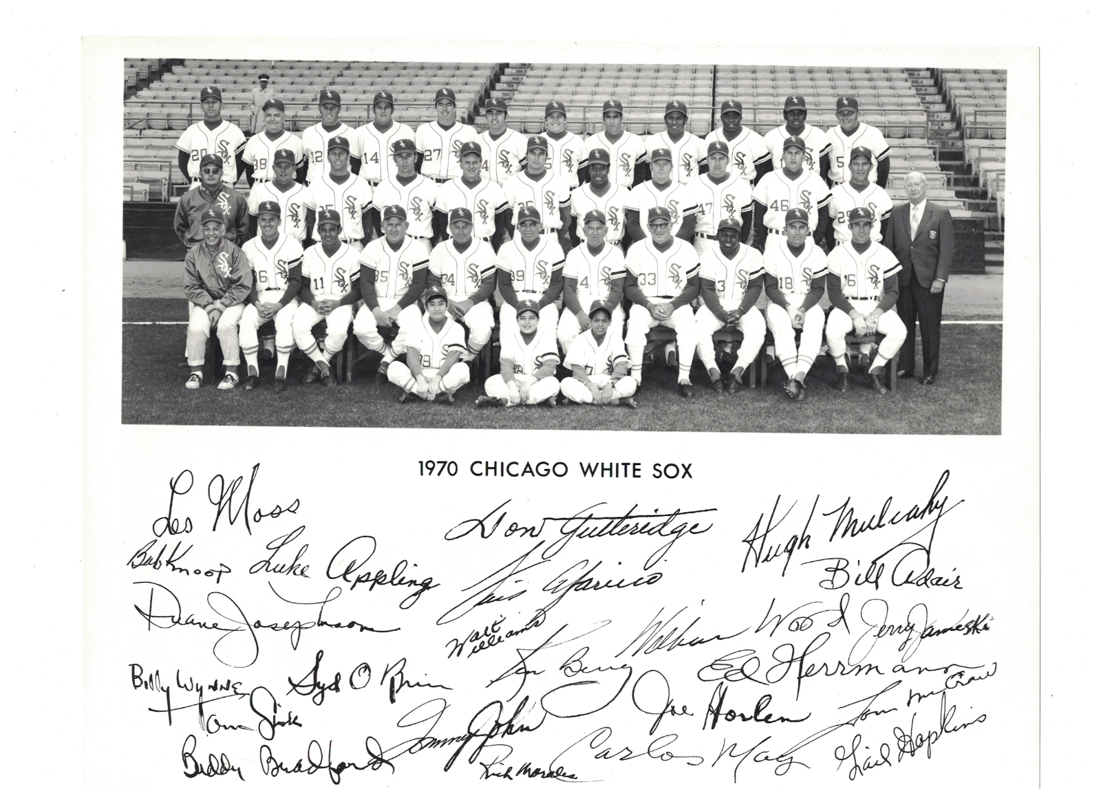 1970 Chicago White Sox Baseball 8x10 Team Photo Poster painting RH1