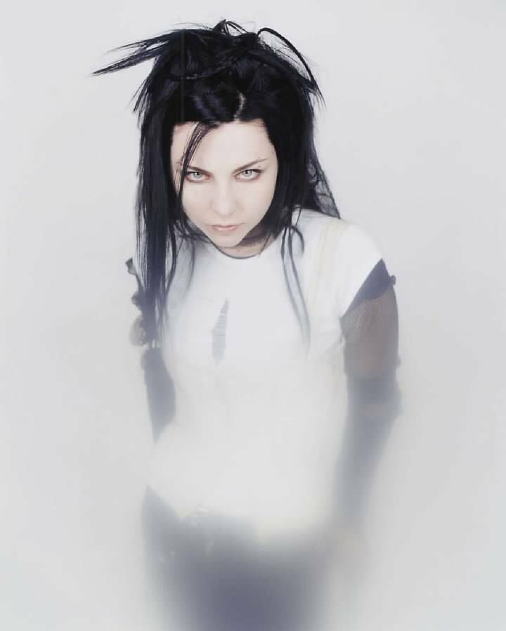 Evanescence - Amy Lee - 16x20” Photo Poster painting