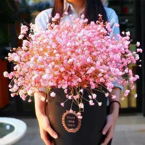 500 Pcs Gypsophila seeds Jonyparkseed®