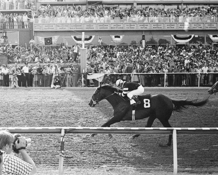 SEATTLE SLEW 1977 Preakness Horse Racing 8 x 10 Photo Poster painting Man Cave Derby Man Cave