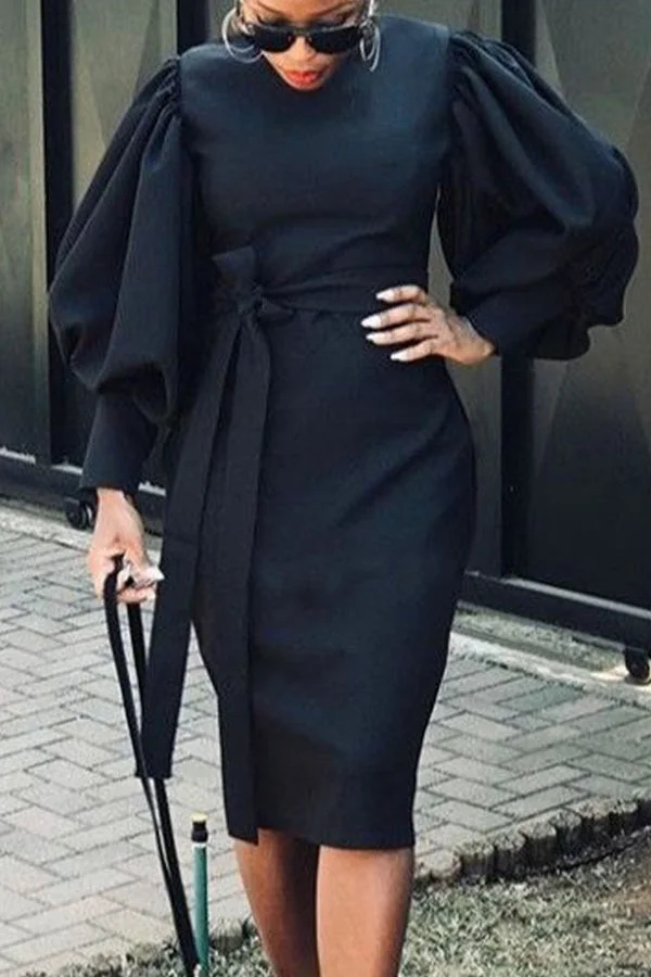 Elegant Plain Lantern Sleeve Crew Neck Dress