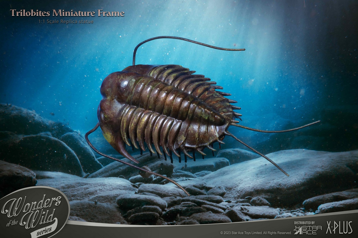 PRE-ORDER STAR ACE Toys Wonders of the Wild Trilobite 1/1 Scale Statue(GK)