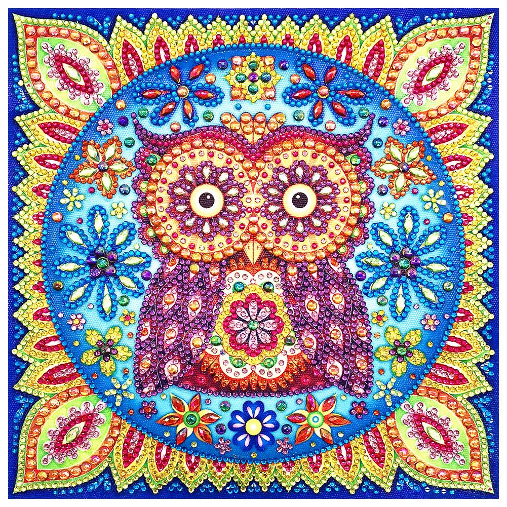 

30*30CM - Special Shaped Diamond Painting - Owl, 501 Original