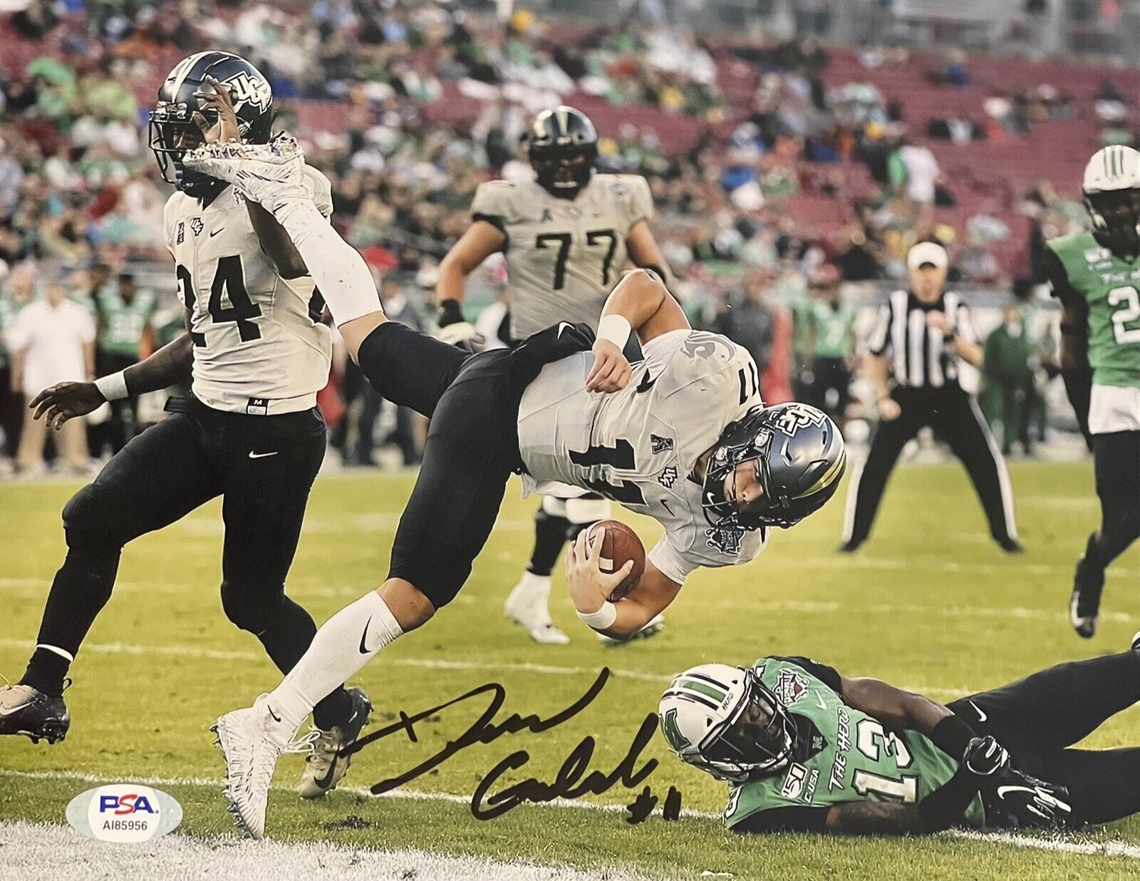 Dillon Gabriel Signed Autographed UCF Knights 8x10 Photo Poster painting PSA/DNA