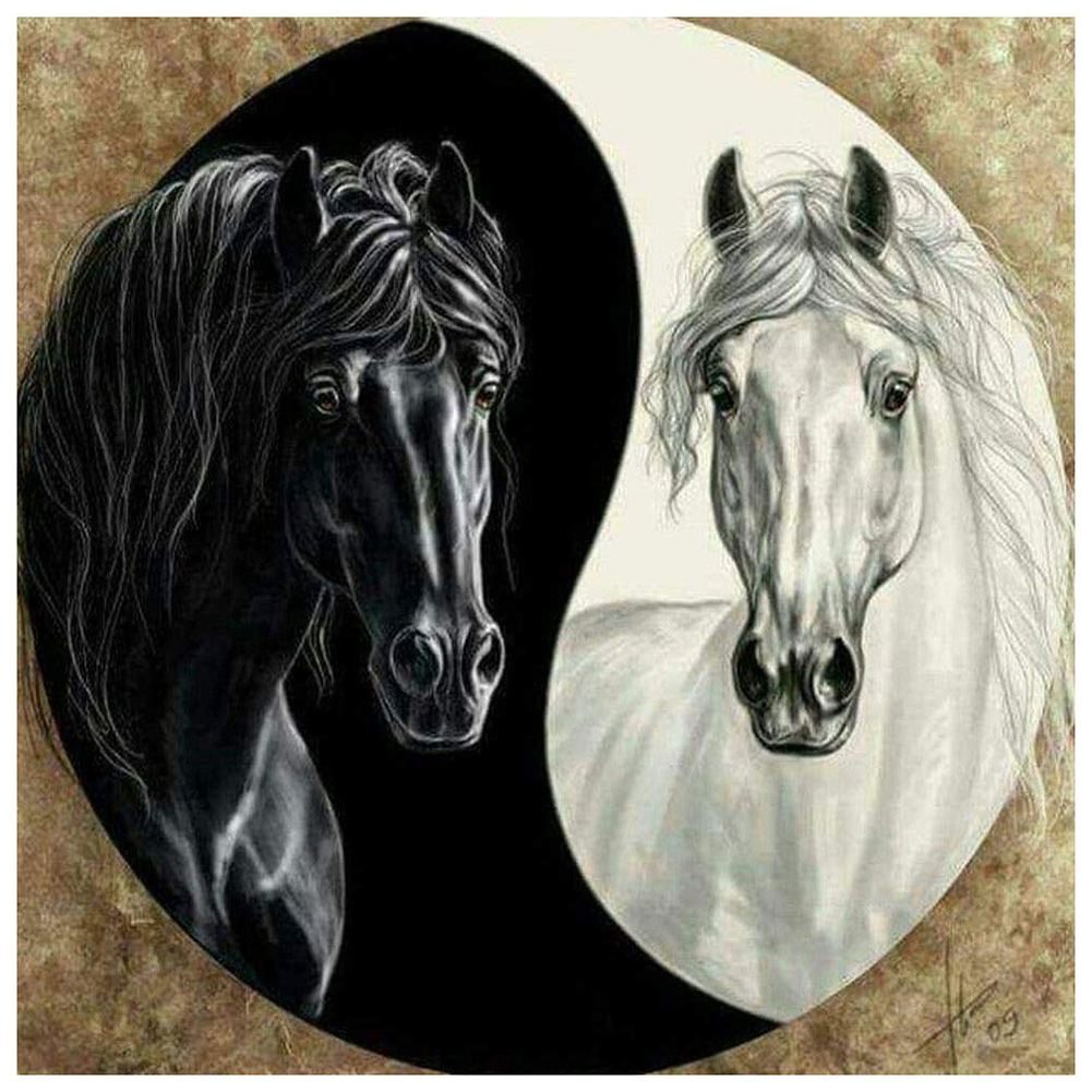 Картина белая и черная лошадь