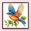 Animal Glass Bead Partial 11CT DIY Stamped Cross Stitch Kits for Beginners Adults Home Decor Cross Stitch Art and Crafts Kits 14.04x14.04in