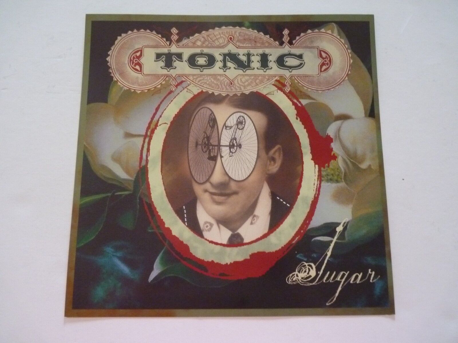 Tonic Sugar LP Record Photo Poster painting Flat 12X12 Poster