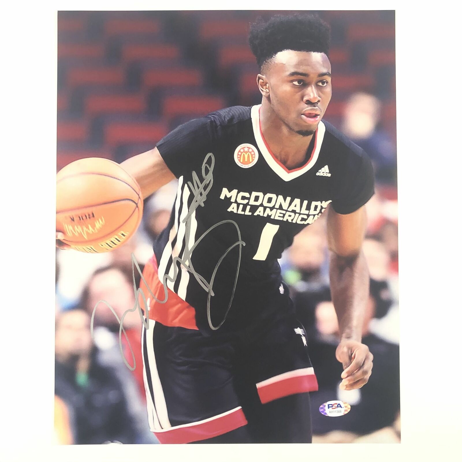 Jaylen Brown signed 11x14 Photo Poster painting PSA/DNA Cal Bears Autographed Celtics