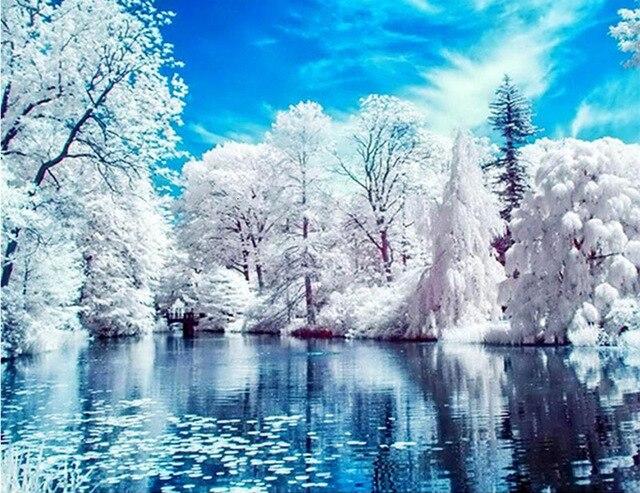 

Lake of Frozen Trees – Paint By Numbers - 40*50CM, 501 Original