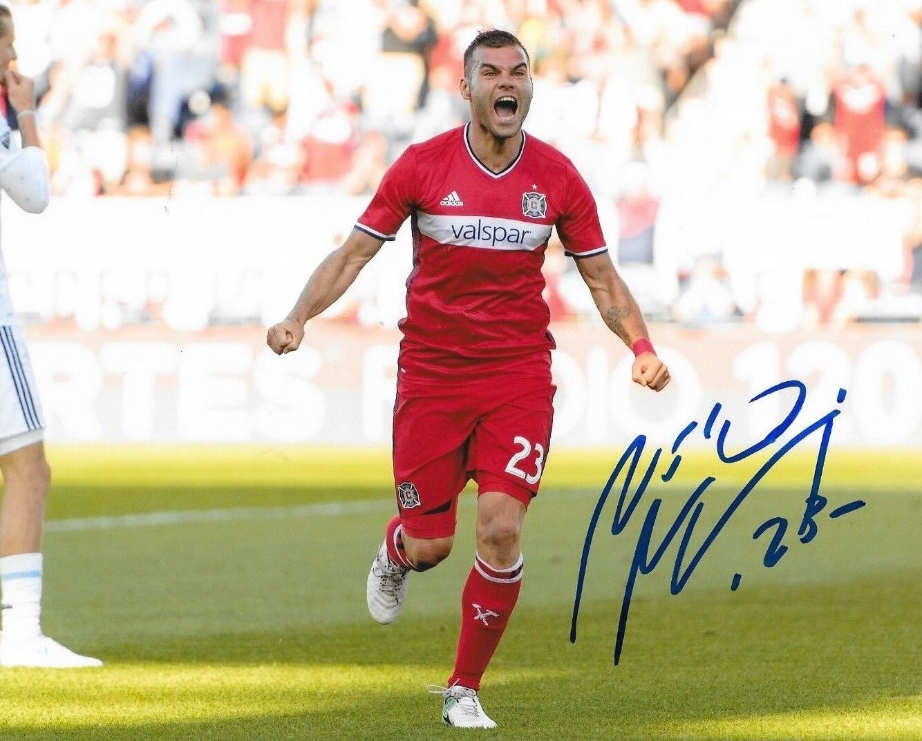 Nemanja Nikolic signed Chicago Fire MLS Soccer 8x10 Photo Poster painting autographed 7