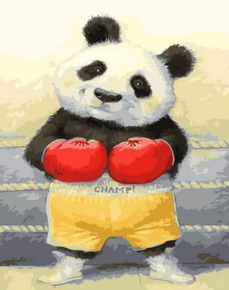 

Boxing Panda – Paint By Numbers - 40*50CM, 501 Original