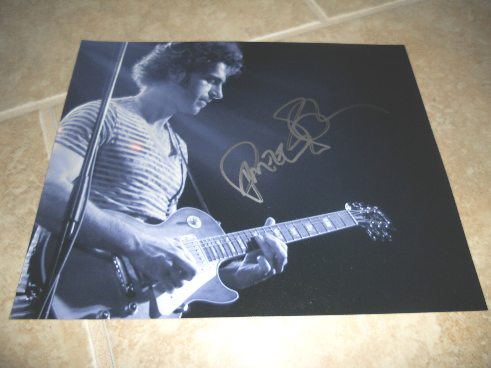 Dweezil Zappa Signed Autographed 8x10 B&W Rock Photo Poster painting #5 PSA Guaranteed