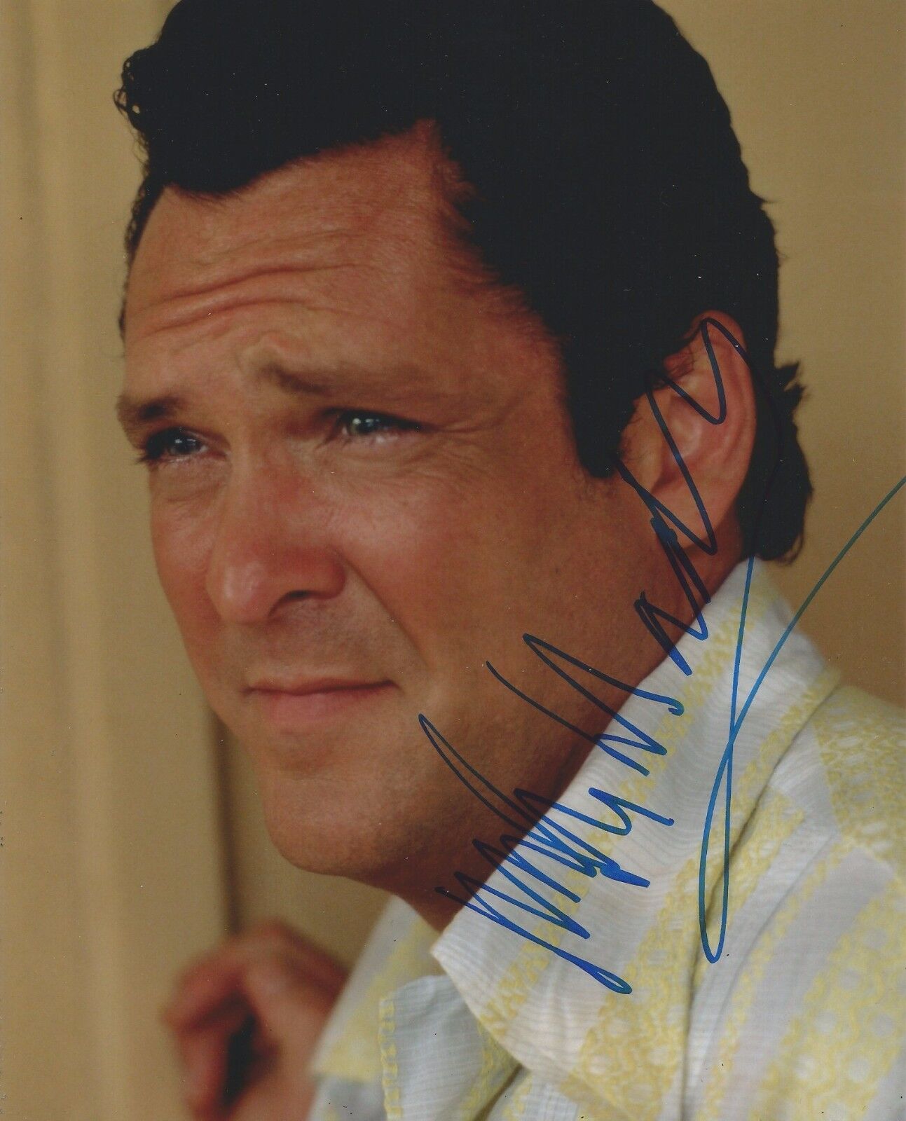 Michael Madsen Signed Donnie Brasco 10x8 Photo Poster painting AFTAL