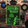 Stevie Ray - Metal Tin Signs(8*12Inch/12*16Inch)