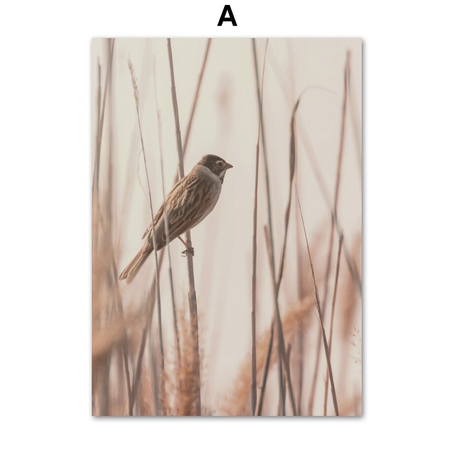 Reed Warbler Wheat Quotes Farm Landscape Wall Art Canvas Painting Nordic Posters And Prints Wall Pictures For Living Room Decor