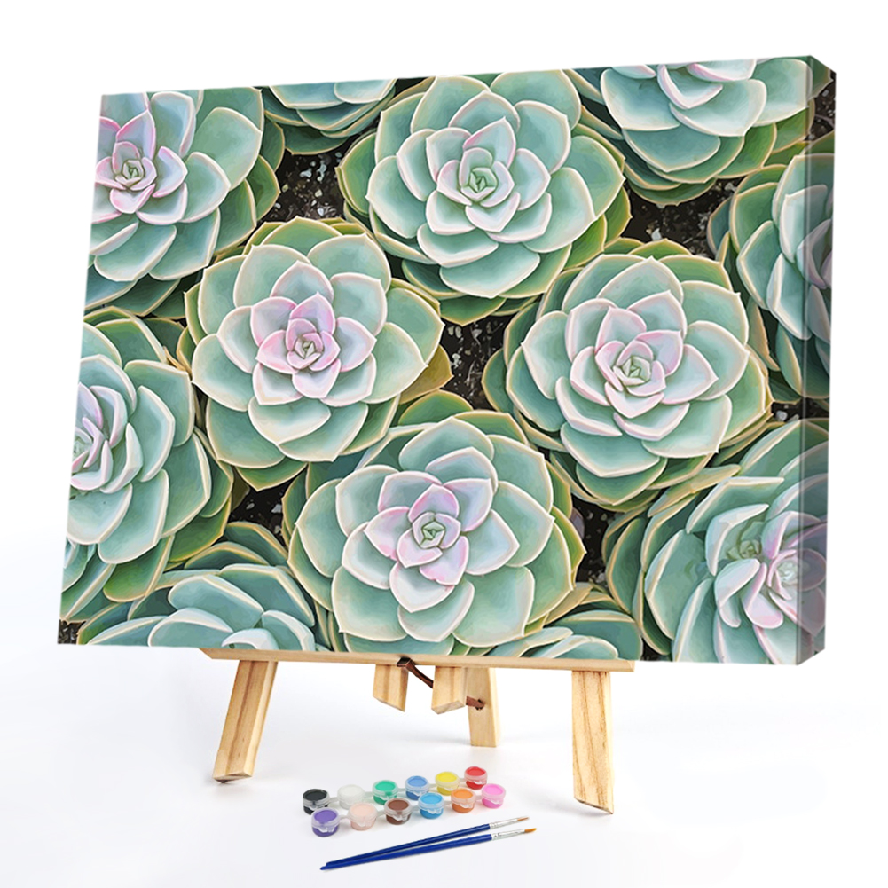 

50*40CM - Paint By Numbers - Succulent Plants, 501 Original