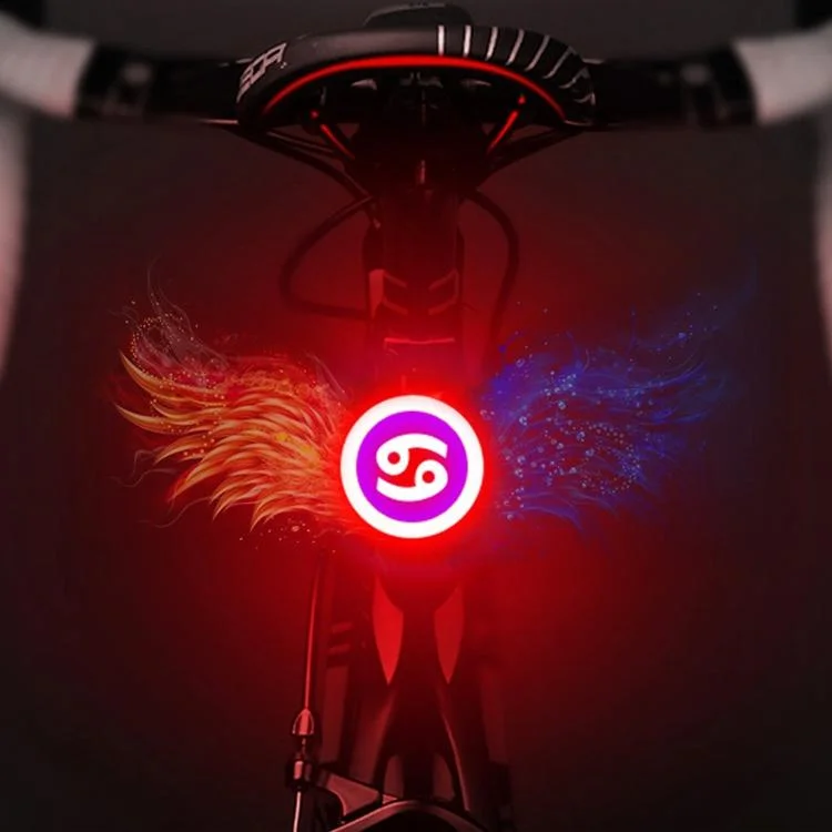 USB Charging Red Blue Color Riding Light Rear Lamp Safety Warning Light 