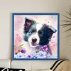 Border Collie Dog-11CT Stamped Cross Stitch 40*40cm