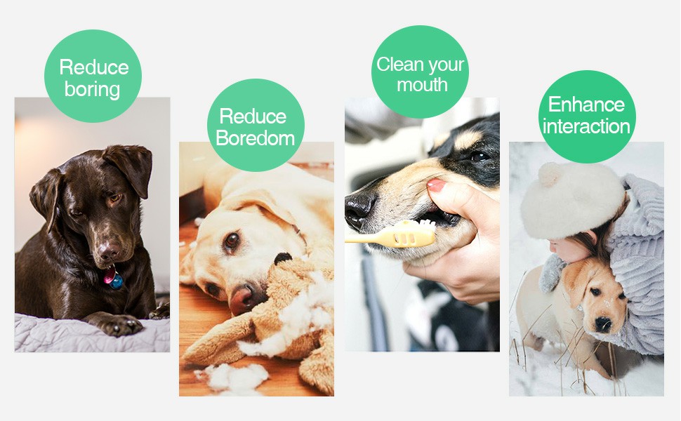 dog toothbrush