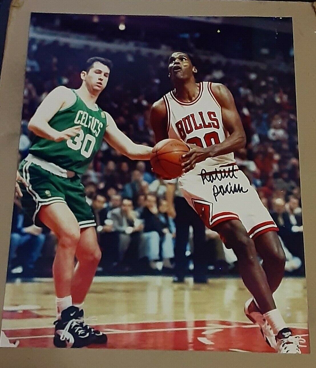 Robert Parrish 1996 Chicago Bulls SIGNED AUTOGRAPHED 8X10 Photo Poster painting COA Celtics