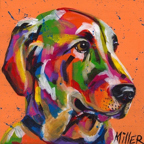 

Fishing Buddy Dog – Paint By Numbers - 40*50CM, 501 Original