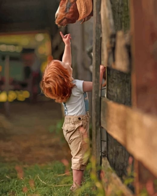 

Boy Playing With A Goat – Paint By Numbers - 40*50CM, 501 Original
