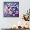 DIY Partial Special Shaped Drill Diamond Painting-Owl