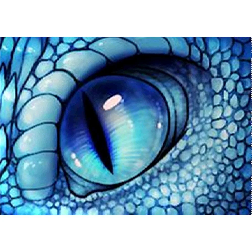 Full Round Diamond Painting Eye (40*30cm)