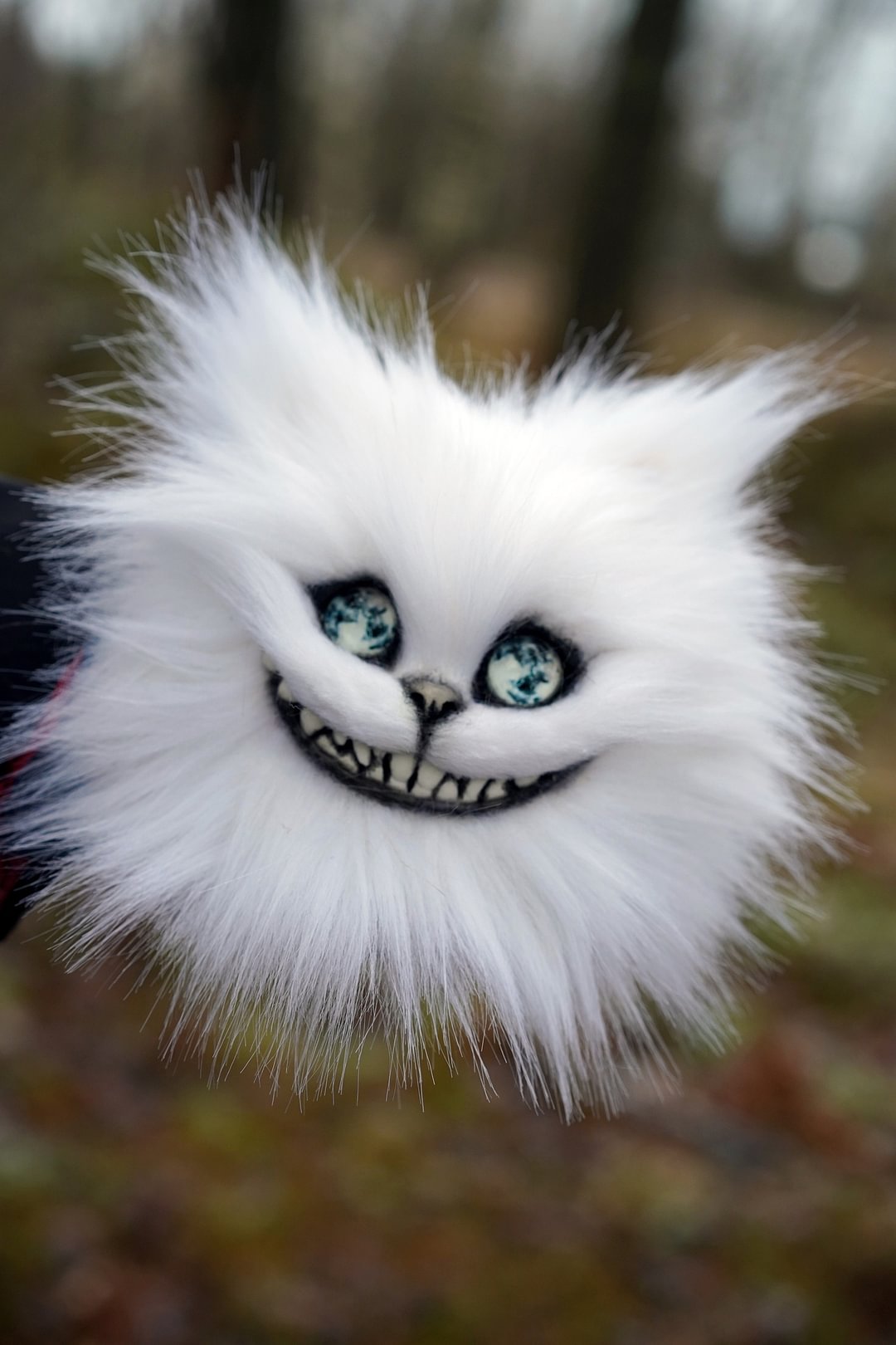 Cheshire head